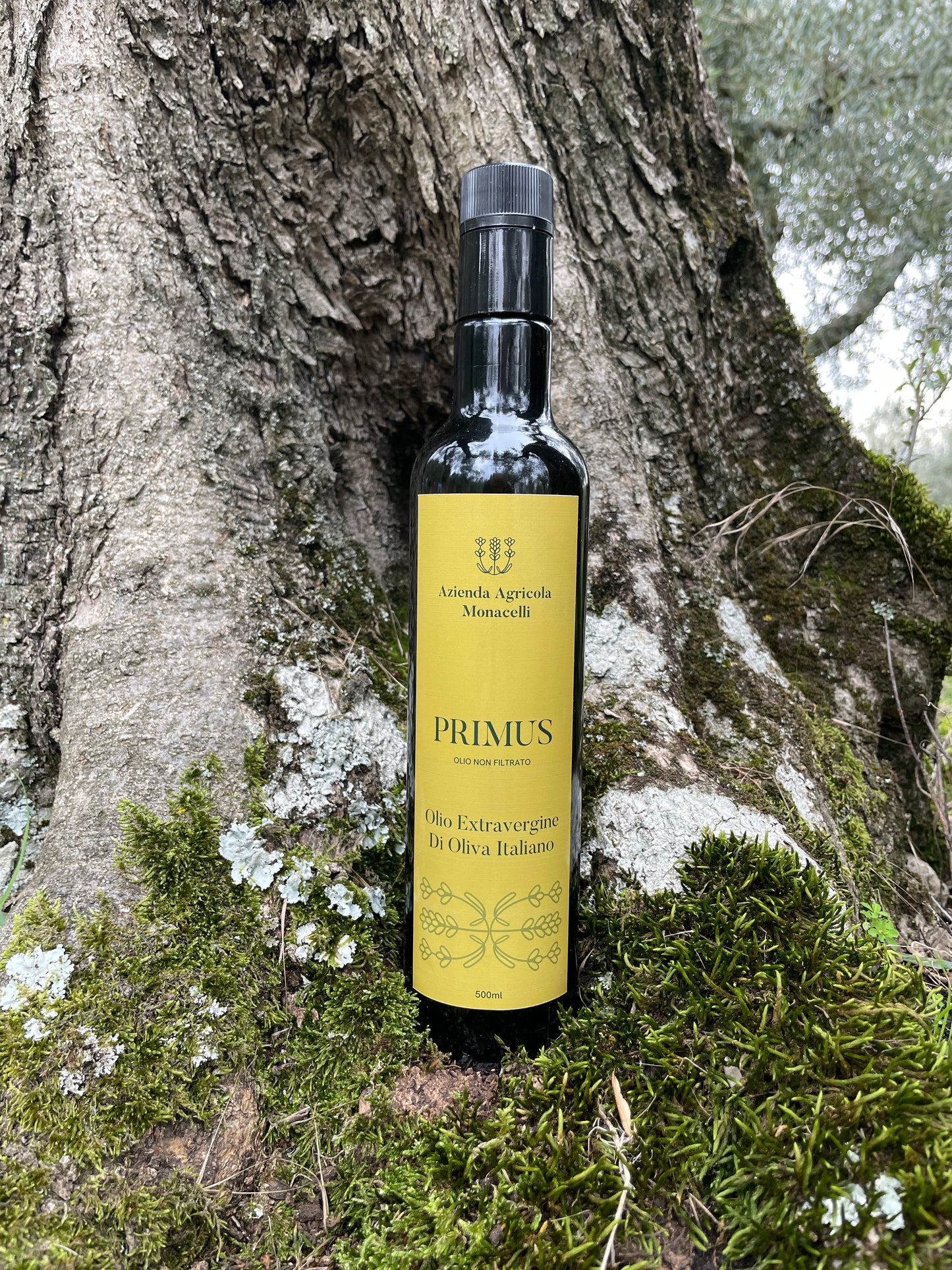 Primus 500 ml OLIO EXTRA VERGINE DI OLIVA 100%UMBRO non filtrato