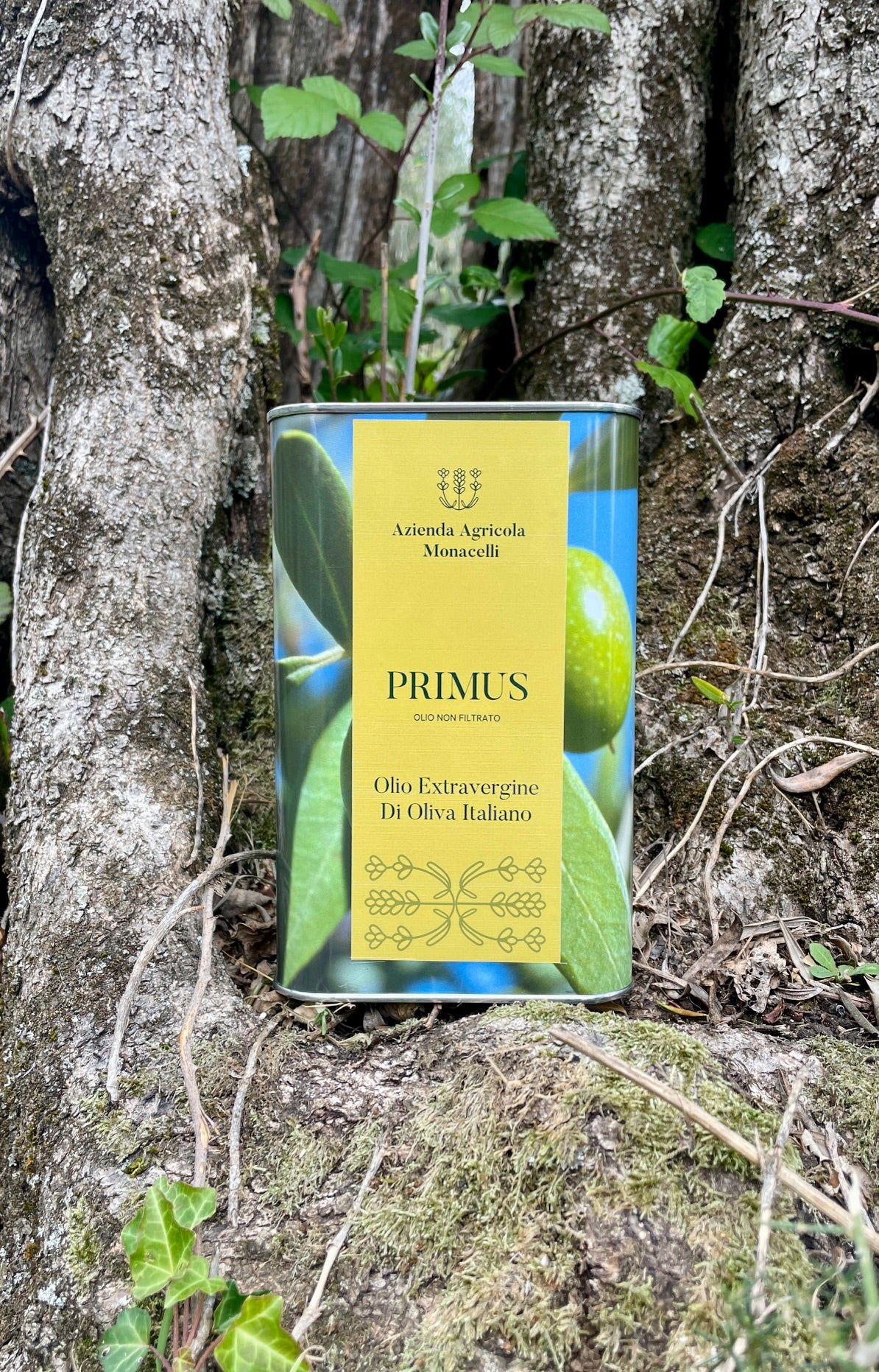 Primus 1l Olio Extra Vergine di Oliva Italiano 100% Umbro