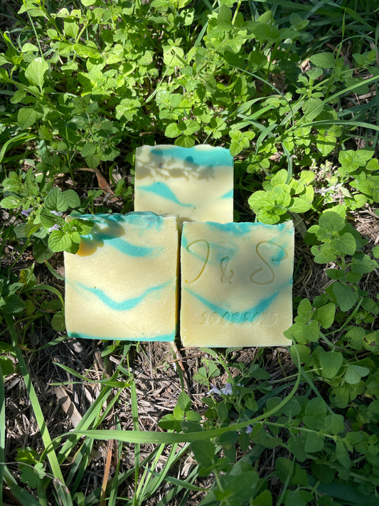 Menta