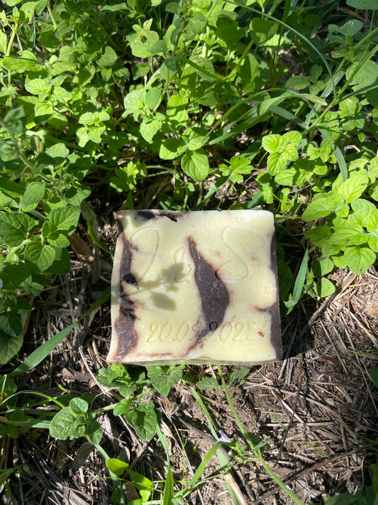 Cacao e Cannella